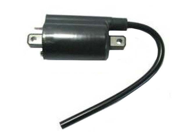 Bronco Atv Ignition Coil AT-01900