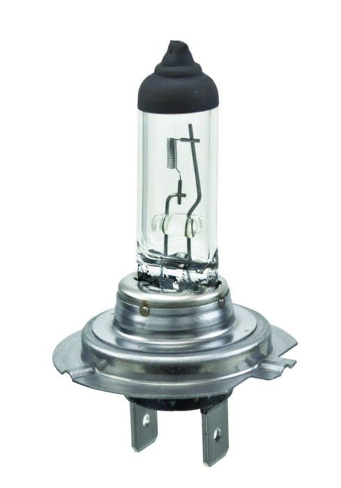 Hella Halogen H7 Bulb H7