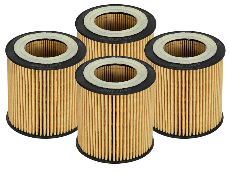 aFe Pro GUARD D2 Oil Filter 06-19 BMW Gas Cars L6-3.0T N54/55 4 Pack 44-LF029-MB