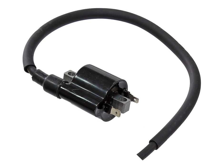 Bronco Atv Ignition Coil AT-01698