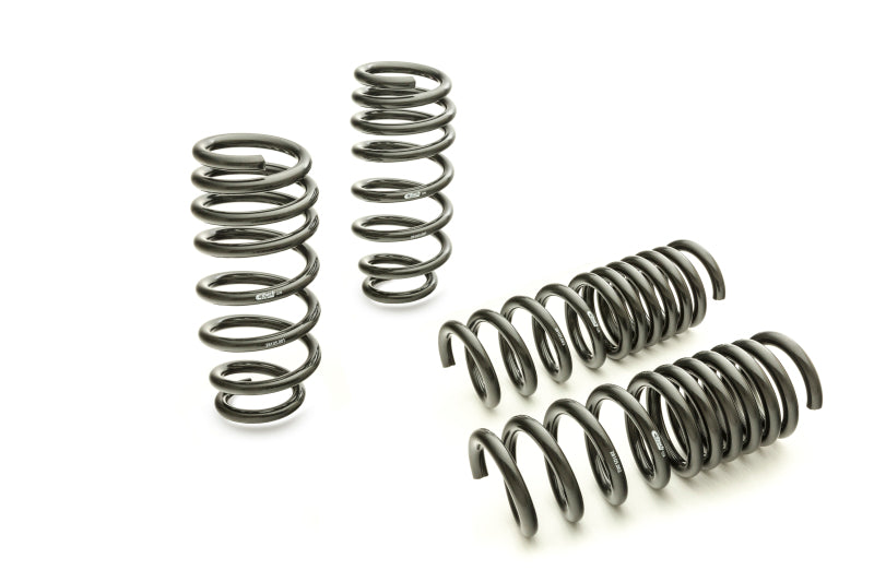 Eibach Pro-Kit for 11-12 Compatible with Dodge Charger 2WD V6 / 2WD V8 (Will Not Effect Vehicle Height On Scat Pack) 28105.14