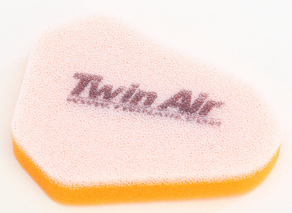 Twin Air Air Filter 152378