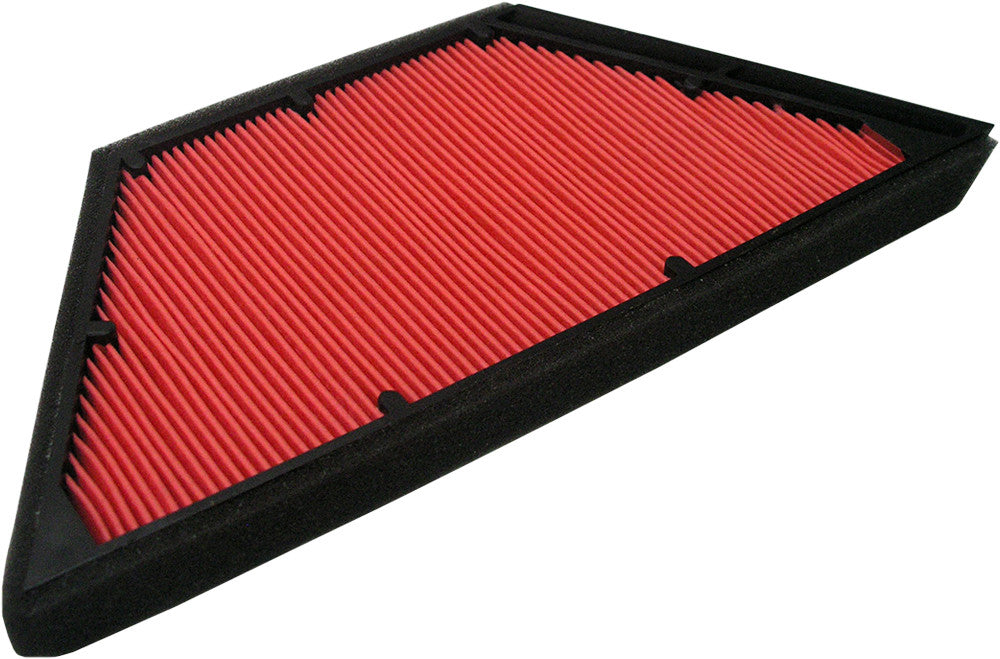 Hiflofiltro HFA2916 Premium OE Replacement Air Filter, Black