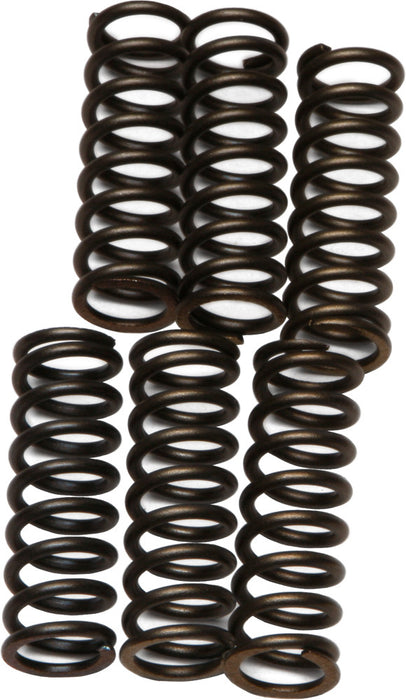 EBC Brakes CSK37 Coil Type Clutch Spring, black, One Size