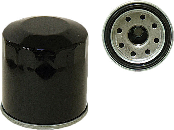 SP1 20-006 Crankcase Oil Filter