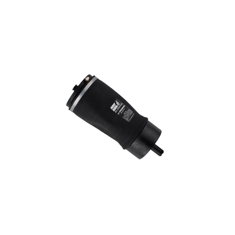 BILSTEIN 17-20 Fits Land Rover Discovery B3 OE Replacement Air Suspension Spring Rear 40-268446