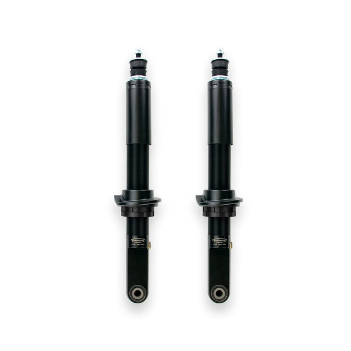 Dobinsons Pair Of Front Ims Struts (Ims59-50700) IMS59-50700