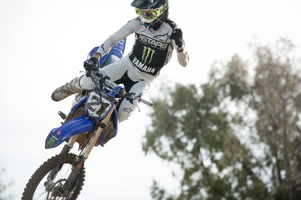 100% ARMEGA FORECAST Shield Clear