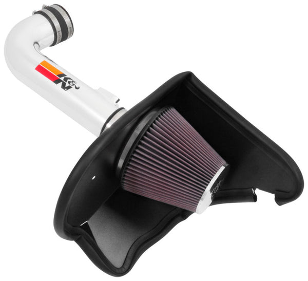 K&N 16-17 Chevy Camaro 3.6L Silver Typhoon Short Ram Intake 69-4535TP