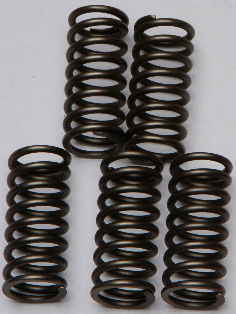EBC Brakes CSK132 Coil Type Clutch Spring