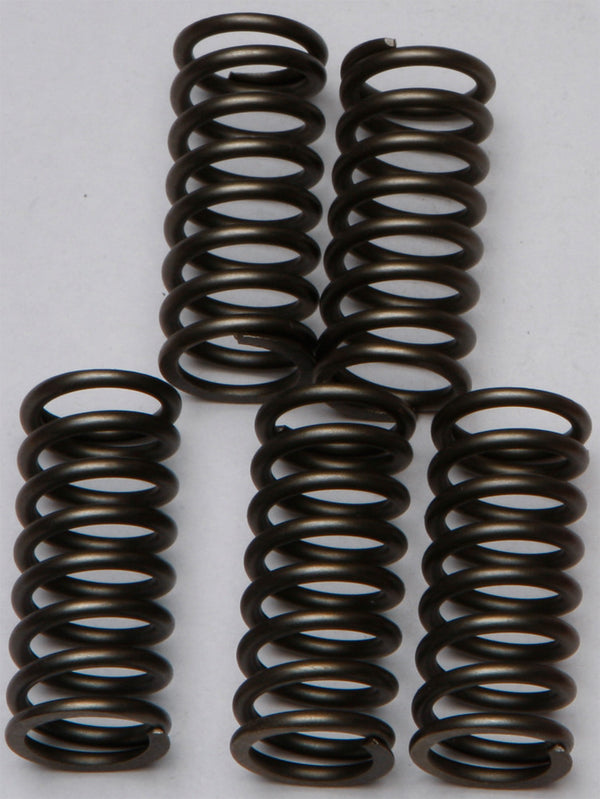 EBC Brakes CSK132 Coil Type Clutch Spring