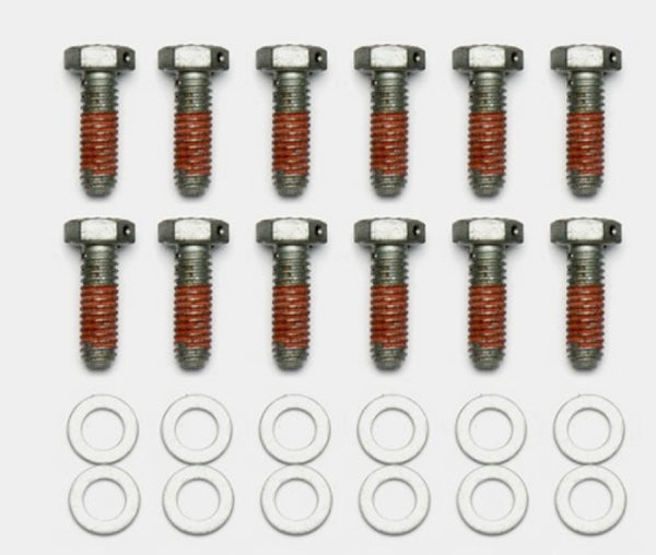 Wilwood Bolt Kit 5/16-18 x 1.00 LG 12 pk 230-14086