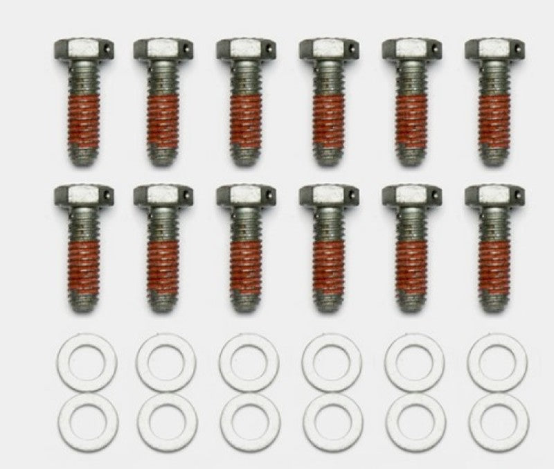 Wilwood Bolt Kit 5/16-18 x 1.00 LG 12 pk 230-14086