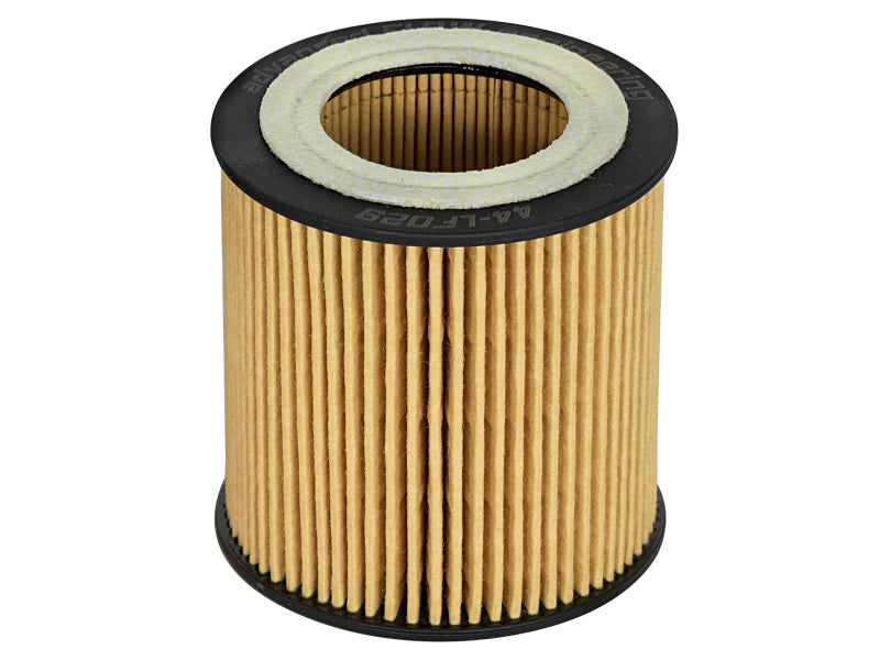 aFe Pro GUARD D2 Oil Filter 06-19 BMW Gas Cars L6-3.0T N54/55 4 Pack 44-LF029-MB