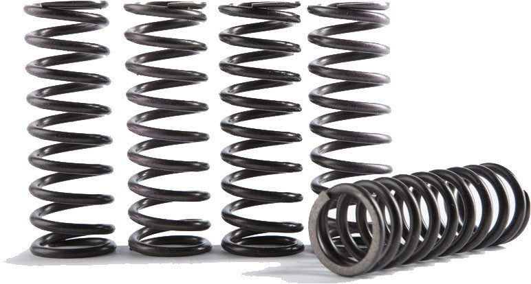 Hinson High Temp Springs 6 Springs CS095-6-001