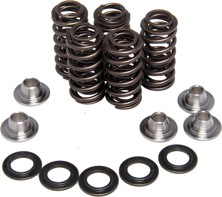 Kpmi Racing Valve Spring Kit 80-80750