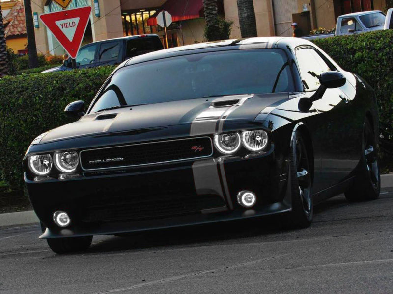 Oracle Compatible with Dodge Challenger 08-14 LED Waterproof Halo Kit White SEE WARRANTY 1292-001