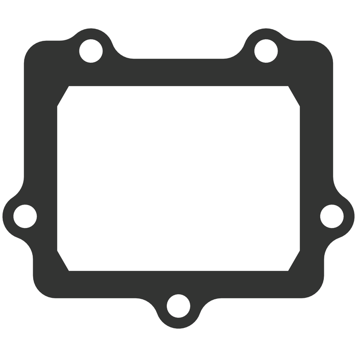 Moto Tassinari Vforce3 Gasket G307