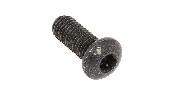 Rhino Rack M8 X 20Mm Black Button Cap Screw (Stainless Steels) (4 Pack) B155-BLK-BP