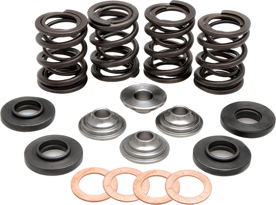 Kpmi Racing Valve Spring Kit 96-96000