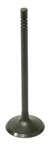 Bronco Intake Valve AU-09195I