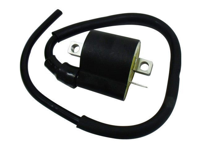 Bronco Atv Ignition Coil AT-01318