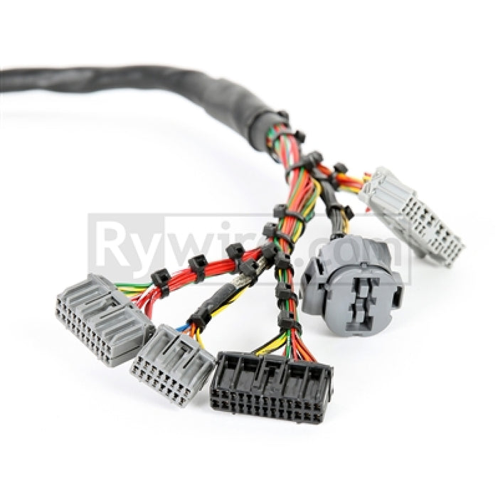 Rywire Honda B-Series Mil-Spec Eng Harness w/OBD2 Dist/Inj/Alt & OBD1 92-95 ECU Plugs (Adapter Req) RY-B2-MILSPEC