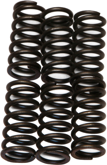 EBC Brakes CSK6 Coil Type Clutch Spring, black