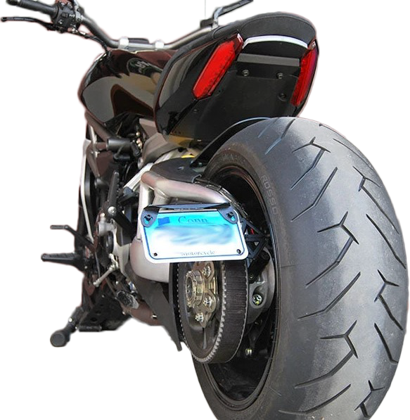 Ducati Diavel 1260 Side Mount License Plate (2 Position) (2019 - Present)