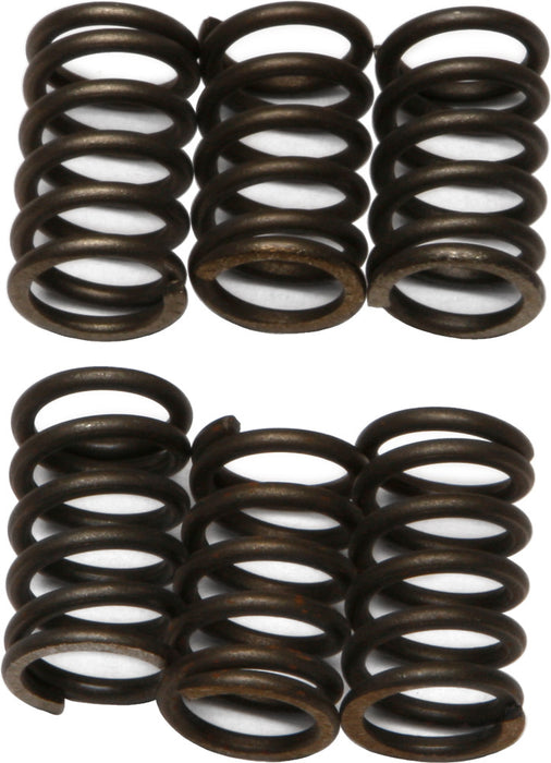 EBC Brakes CSK23 Coil Type Clutch Spring, black, One Size