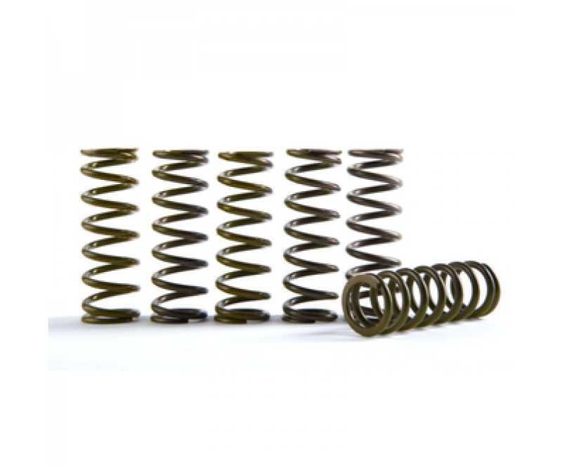 Hinson Clutch 19-20 Honda CRF450R Hi-Temp Clutch Spring Kit Set of 6 CS189-6-0613