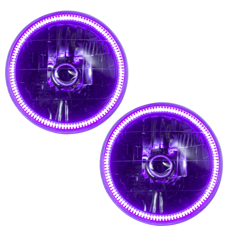 Oracle Lighting 97-06 compatible with Jeep Wrangler TJ Pre-Assembled LED Halo Headlights -UV/Purple SEE WARRANTY 7081-007