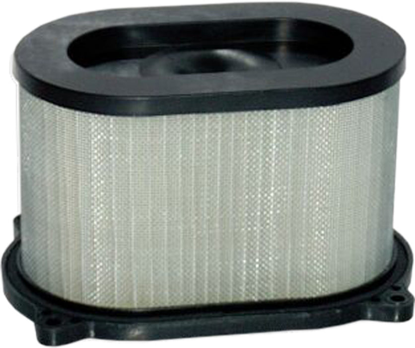 Hiflofiltro HFA3609 Premium OE Replacement Air Filter, Black