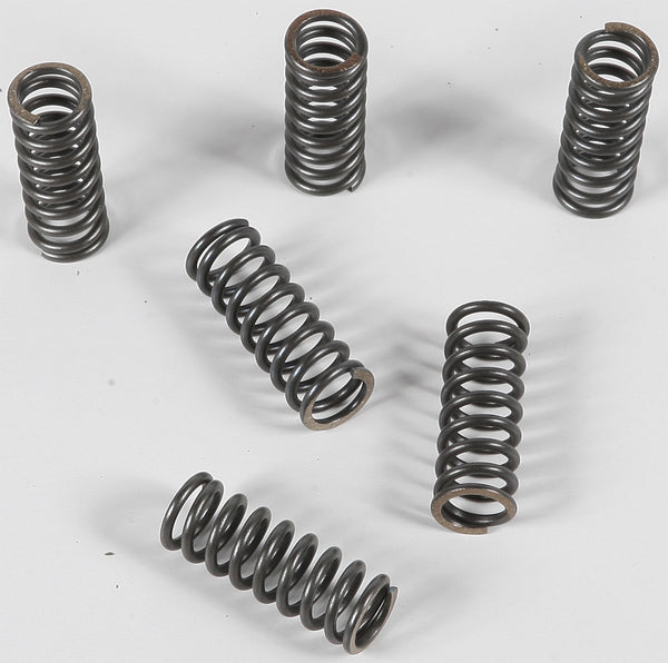 EBC Brakes CSK45 Coil Type Clutch Spring, Black, One Size