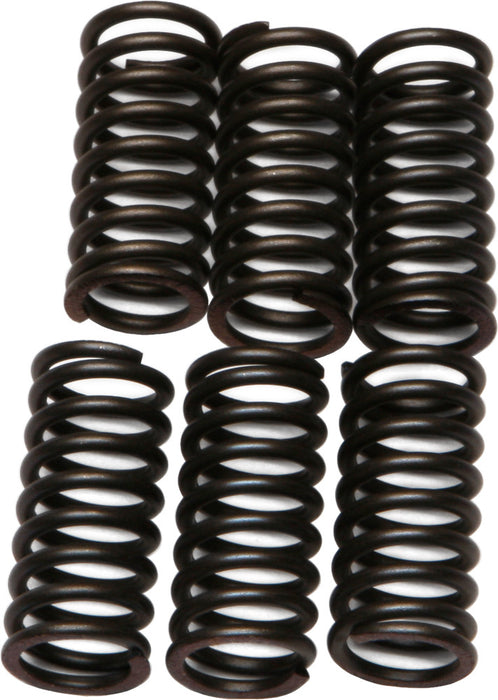 EBC Brakes CSK24 Coil Type Clutch Spring, black, One Size