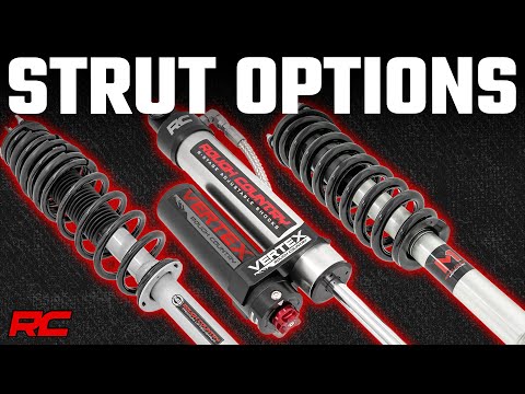 Rough Country M1 Adjustable Leveling Struts 0-2" Ford F-150 4Wd (2004-2008) 502001