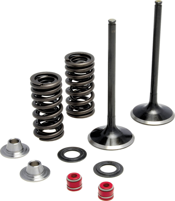 Kpmi Intake Valve Spring Kit 30-31200